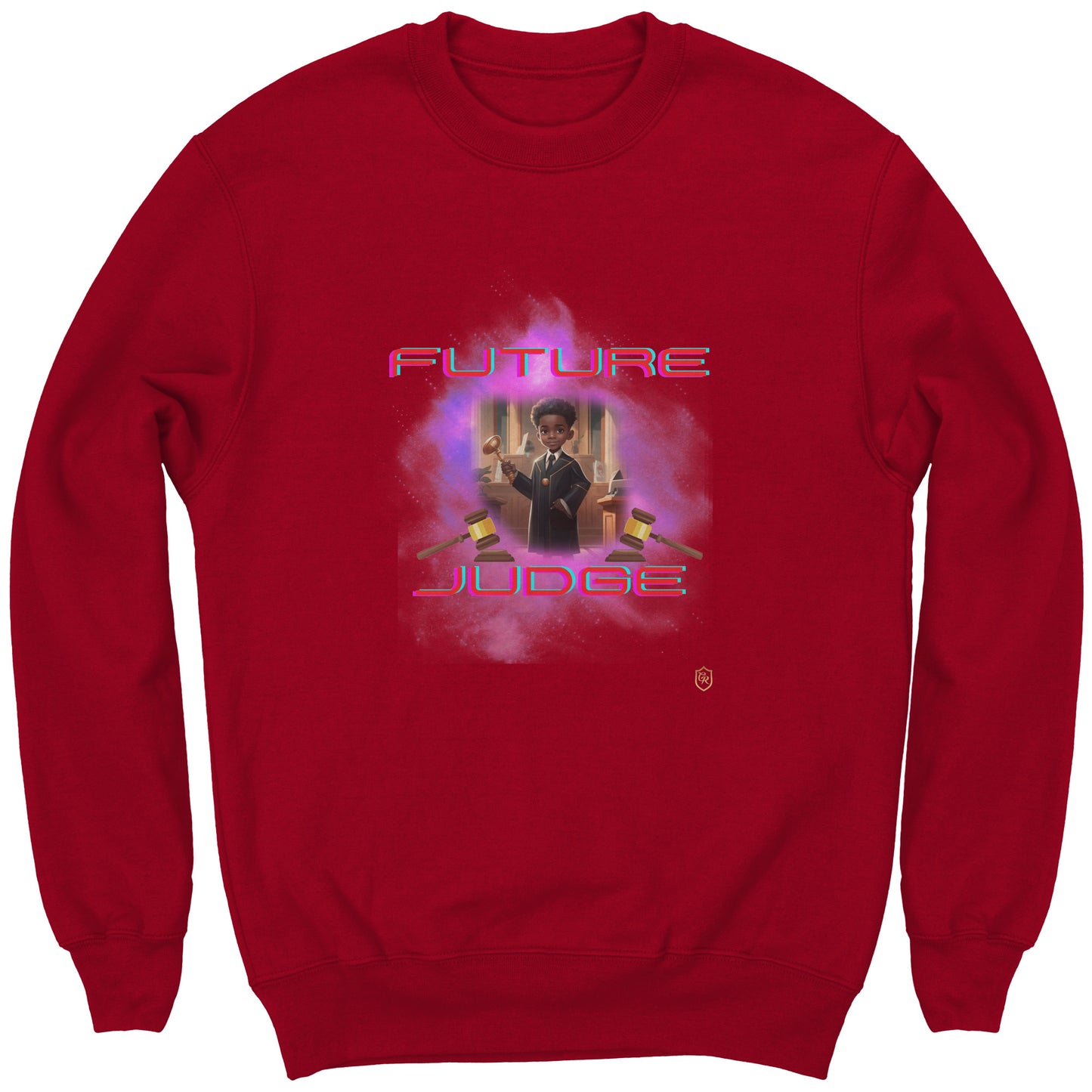 Young Boy's Future Judge Sweatshirt