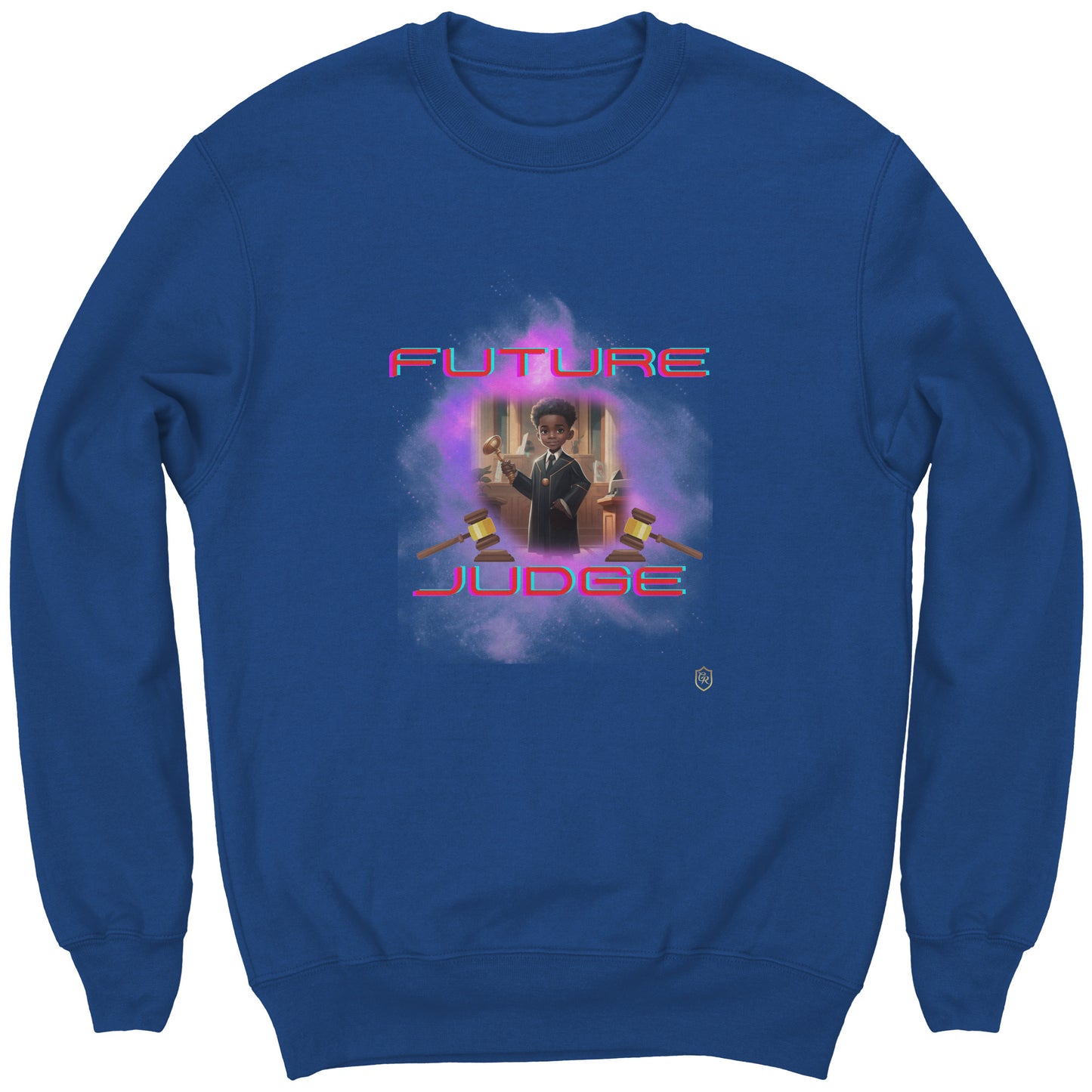 Young Boy's Future Judge Sweatshirt